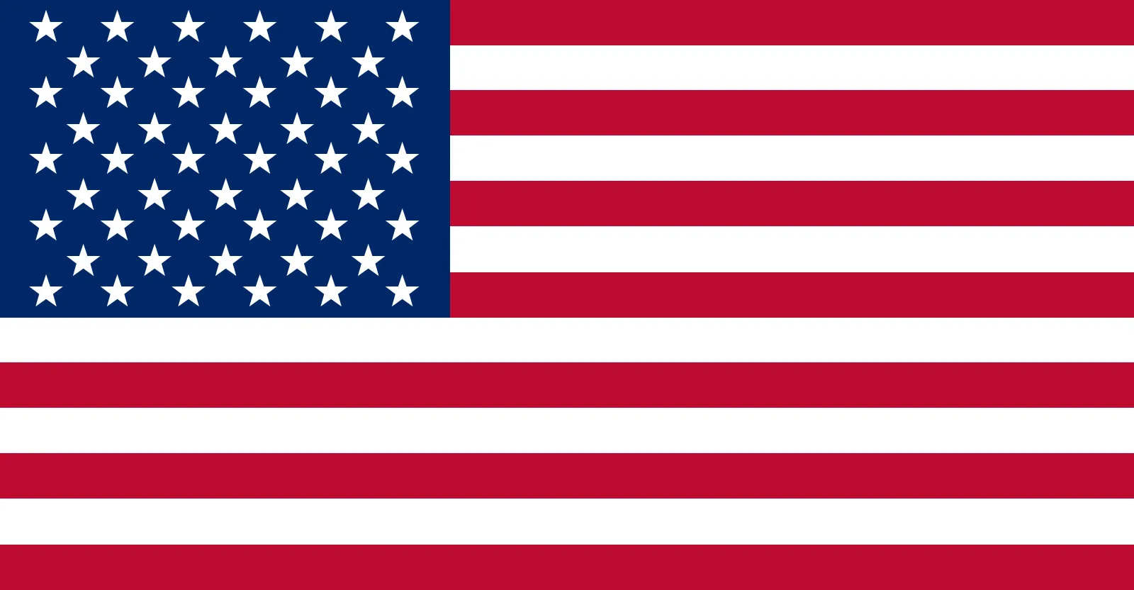 Flag-United-States-of-America (1)
